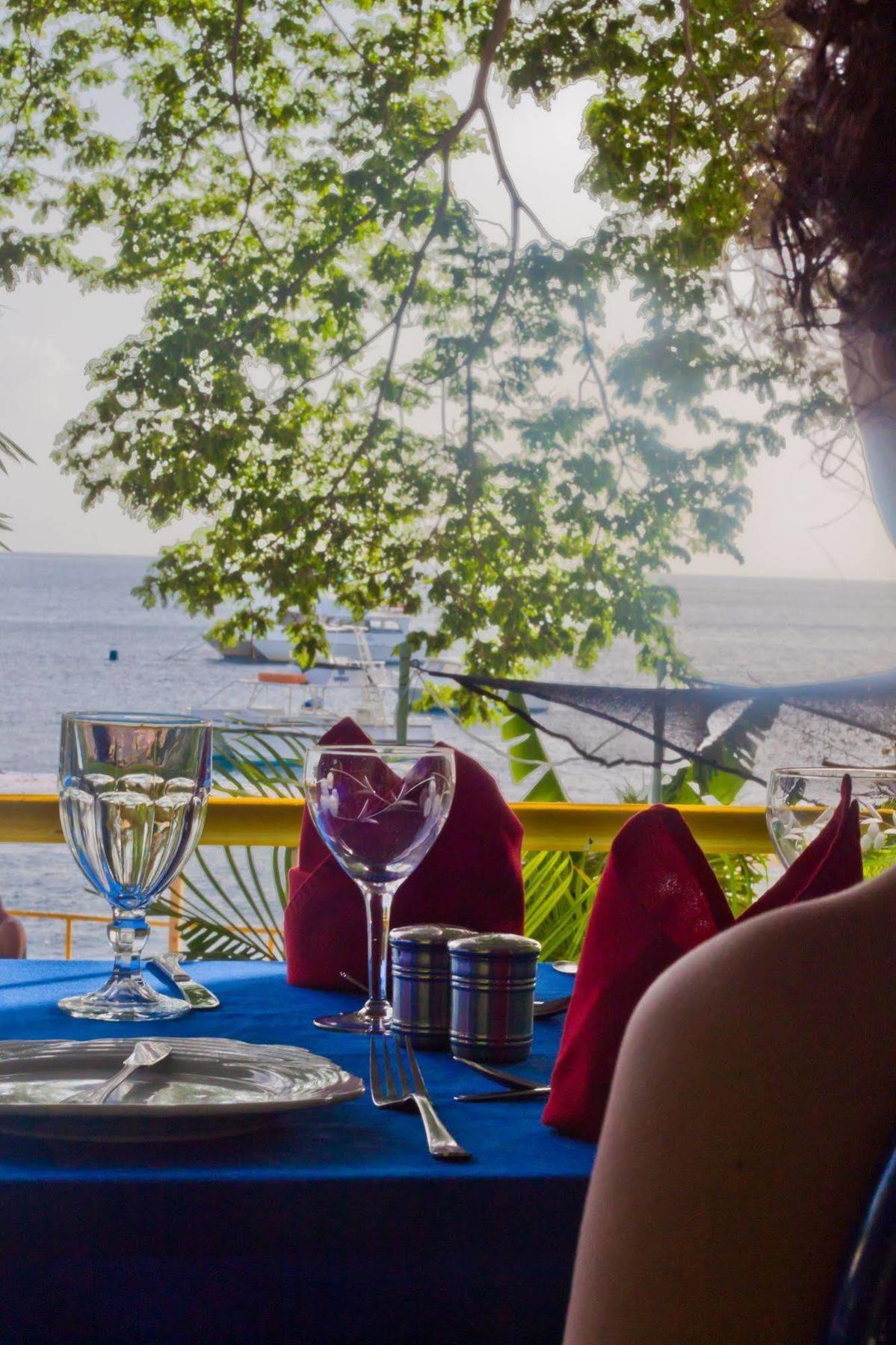 Castle Comfort Lodge Roseau Bagian luar foto